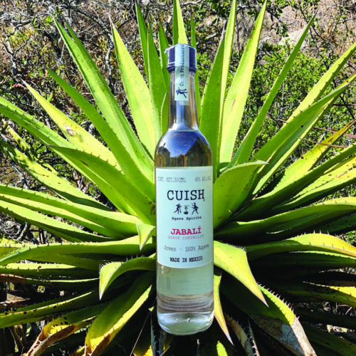 CUISH Mezcal Jabalí