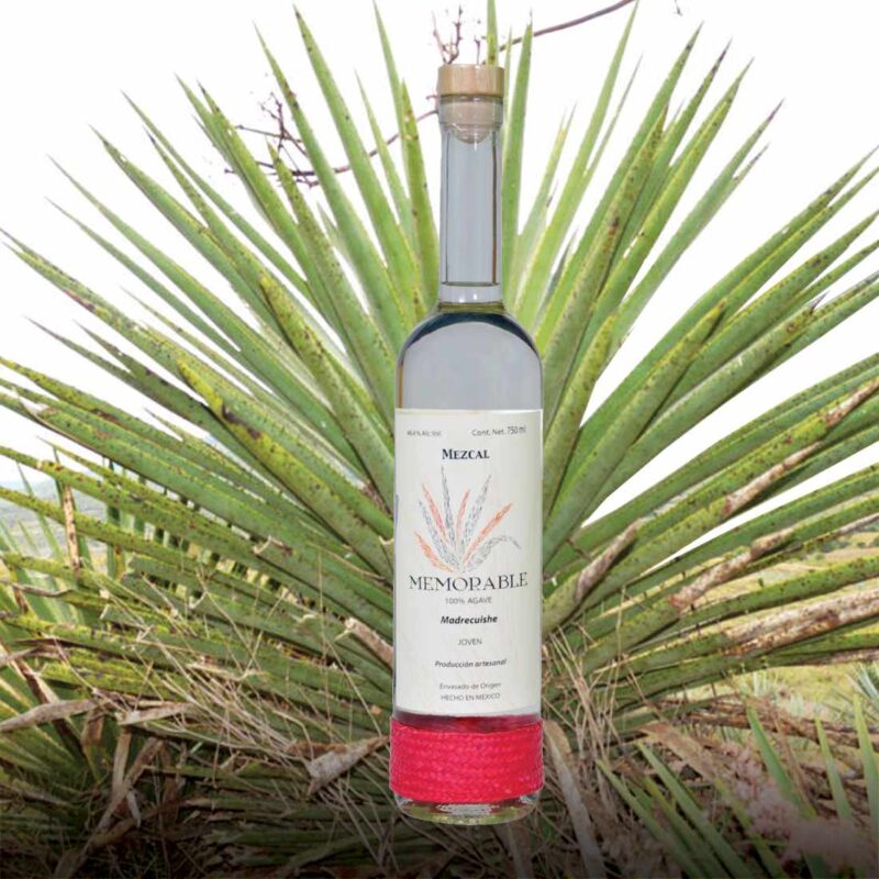 Memorable Mezcal Madrecuishe