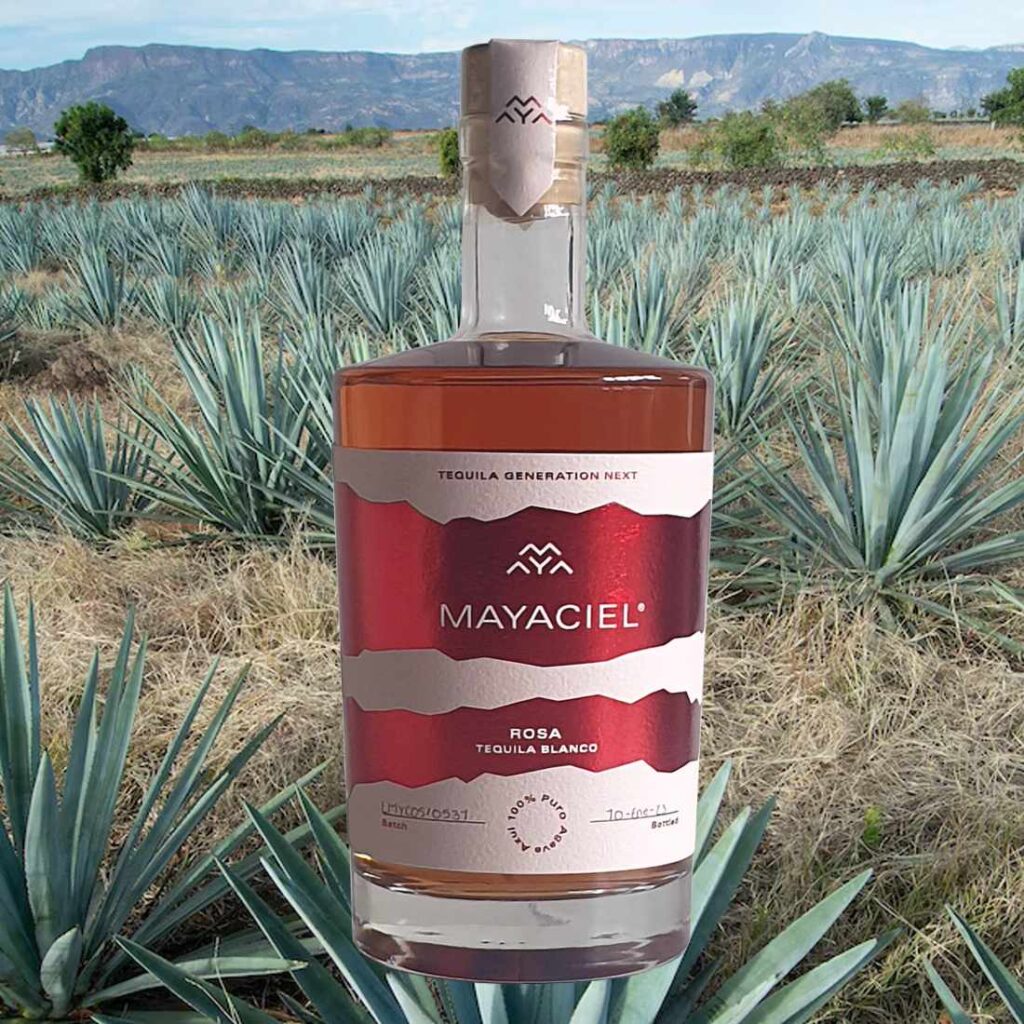 mayaciel tequila Rosa